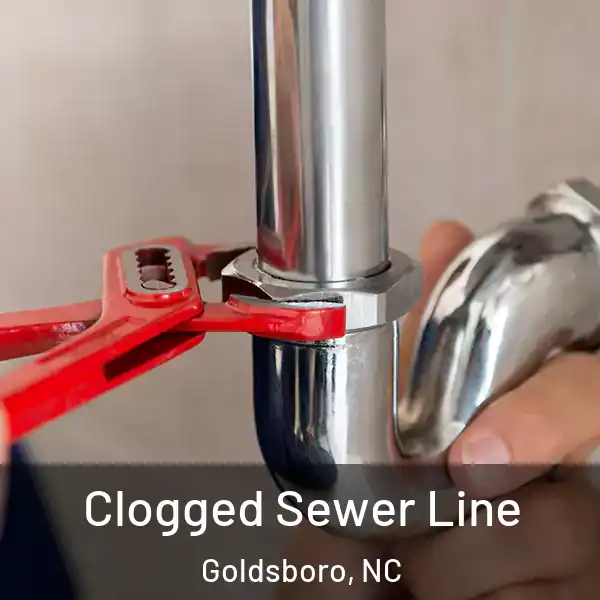  Clogged Sewer Line Goldsboro, NC
